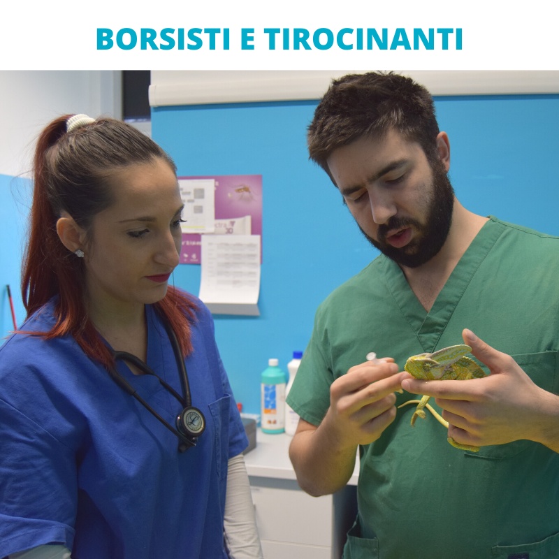 TIROCINANTI E BORSISTI